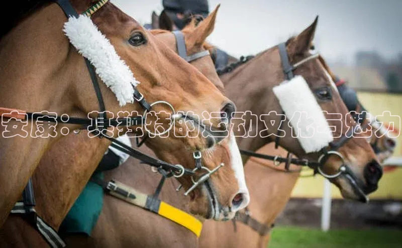 凯发天生赢家一触即发首页