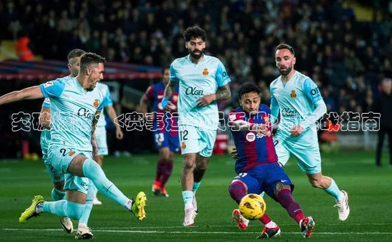 突破极限：<赛事运动员手册>与实战指南